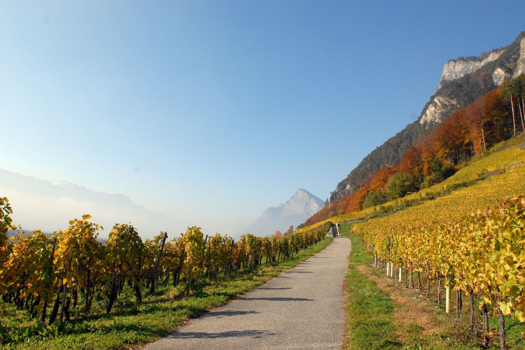 Weinerlebnis Fläsch